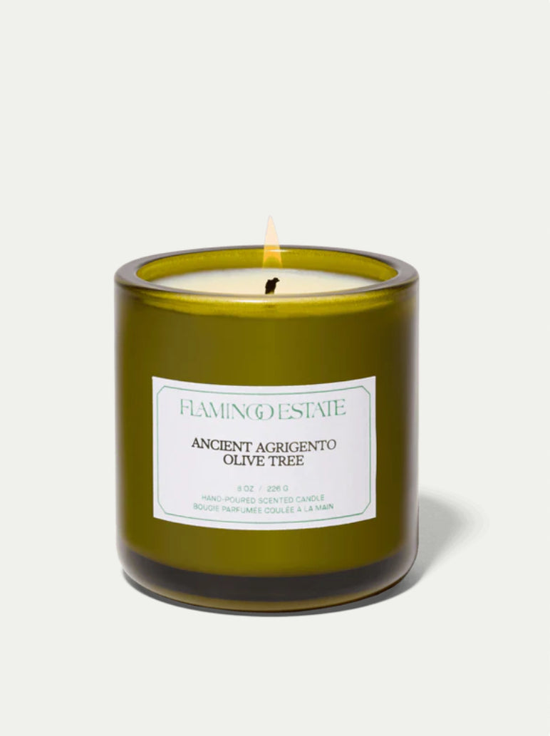 Ancient Agrigento Olive Tree Candle