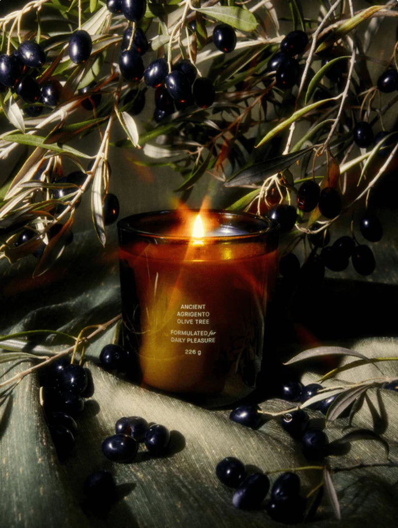 Ancient Agrigento Olive Tree Candle